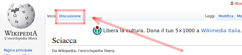 Discussione