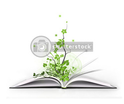 Magic book