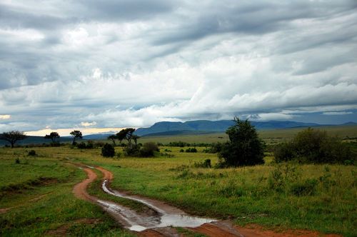 Longa via
