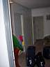 100_3522.jpg