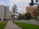 Dsc05099.jpg