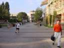 Dsc05134.jpg