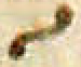 abbr_2b.png