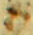 abbr_8.png