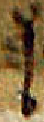 abbr_u_superscript.png