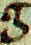 g.png