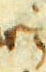 punct_semicolon.png