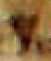 punct_triangle.png